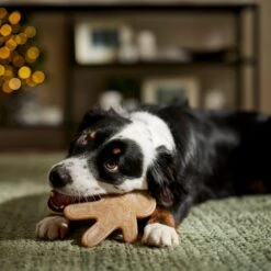 Frisco Nylon Gingerbread Dog Chew Toy, Beef Flavor, Medium 9 Frisco Nylon Gingerbread Dog Chew Toy, Beef Flavor, Medium -Frisco 291385 PT3. AC SS1800 V1668108316