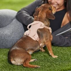 Frisco Comfort Padded Dog Harness 11 Frisco Comfort Padded Dog Harness -Frisco 291539 PT8. AC SS1800 V1650490890