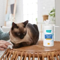 Frisco Deodorizing Paw & Bum Waterless Grooming Wipes For Dogs & Cats -Frisco 291593 PT5. AC SS1800 V1627653728