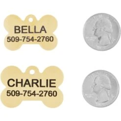 Frisco Brass Personalized Dog ID Tag -Frisco 296191 PT5. AC SS1800 V1628186578