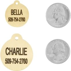 Frisco Brass Personalized Dog & Cat ID Tag, Round -Frisco 296194 PT5. AC SS1800 V1628186525