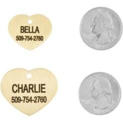 Frisco Brass Personalized Dog & Cat ID Tag, Heart -Frisco 296197 PT5. AC SS1800 V1628186498