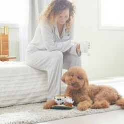 Frisco Brunch Teacup Plush Squeaky Dog Toy 7 Frisco Brunch Teacup Plush Squeaky Dog Toy -Frisco 297232 PT3. AC SS1800 V1642087957