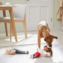 Frisco Brunch Chef & Waitress Plush Squeaky Dog Toy, 2 Count -Frisco 297278 PT2. AC SS1800 V1642088629