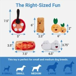 Frisco Lunar New Year Good Fortune Food Plush Squeaky Dog Toy -Frisco 298883 PT1. AC SS1800 V1640883681