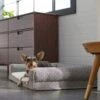 Frisco Boho Modern Couch Dog & Cat Bed -Frisco 299392 MAIN. AC SS1800 V1638288742