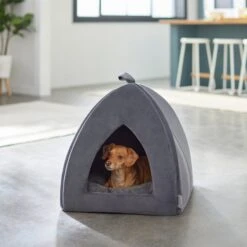 Frisco Tent Covered Cat & Dog Bed