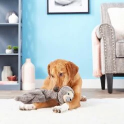 Frisco Giraffe Bungee Plush Squeaky Dog Toy & Frisco Sloth Bungee Plush Squeaky Dog Toy 19 Frisco Giraffe Bungee Plush Squeaky Dog Toy & Frisco Sloth Bungee Plush Squeaky Dog Toy -Frisco 302402 PT8. AC SS1800 V1623091941