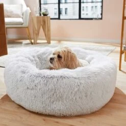 Frisco Eyelash Cat & Dog Bolster Bed & Frisco Eyelash Cat & Dog Blanket 15 Frisco Eyelash Cat & Dog Bolster Bed & Frisco Eyelash Cat & Dog Blanket -Frisco 303412 PT4. AC SS1800 V1623069146