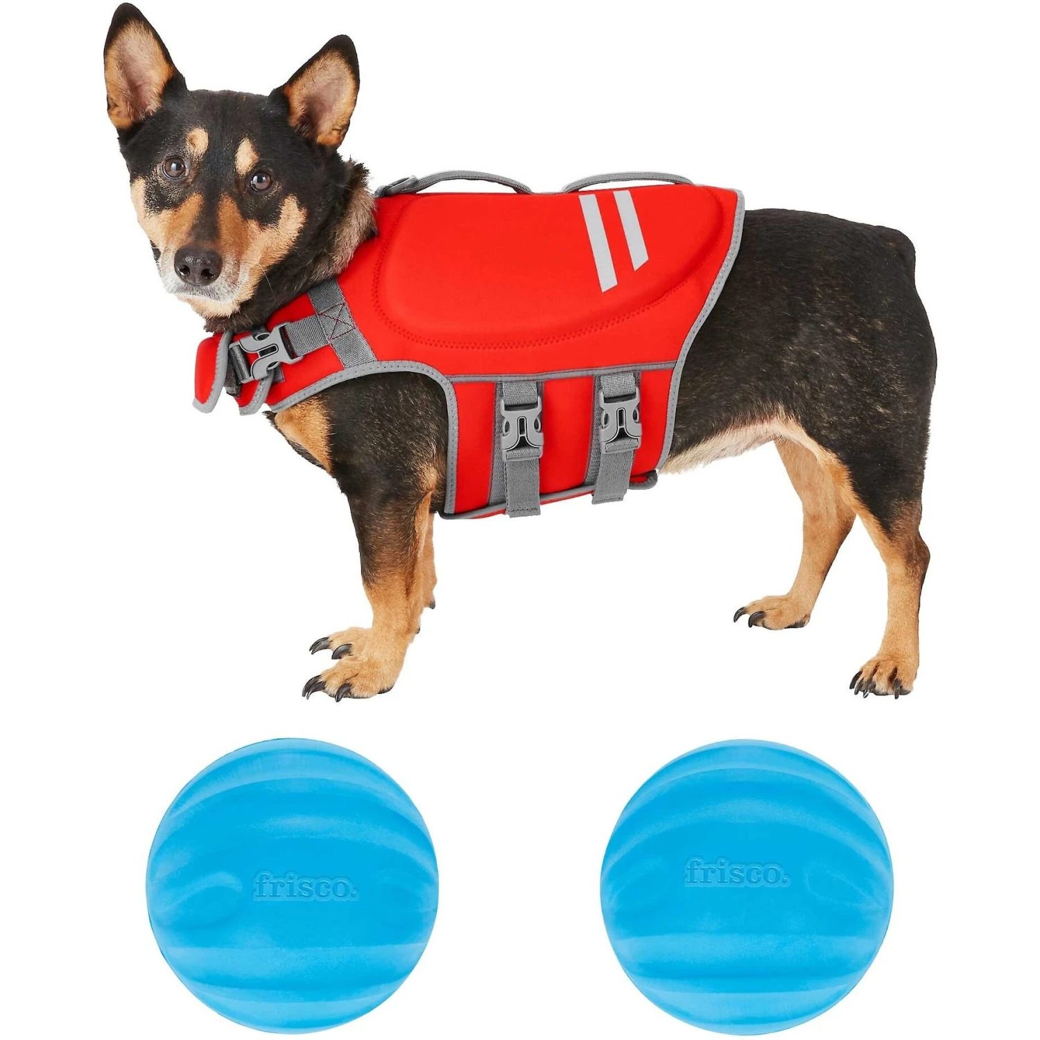 Frisco Neoprene Dog Life Jacket & Frisco Foam Rubber Floating Fetch Ball No Squeak Dog Toy 3 Frisco Neoprene Dog Life Jacket & Frisco Foam Rubber Floating Fetch Ball No Squeak Dog Toy