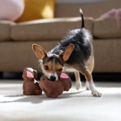 Frisco Easter Chocolate Bunnies Latex Squeaky Dog Toy 8 Frisco Easter Chocolate Bunnies Latex Squeaky Dog Toy -Frisco 304956 PT4. AC SS1800 V1700162989