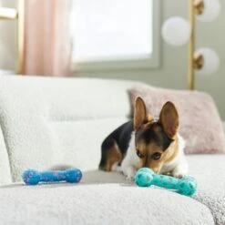 Frisco Easter TPR Bone Squeaky Dog Toy, Medium/Large, 2 Count -Frisco 304966 PT4. AC SS1800 V1670608502