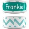Frisco Personalized Chevron Ceramic Dog & Cat Bowl