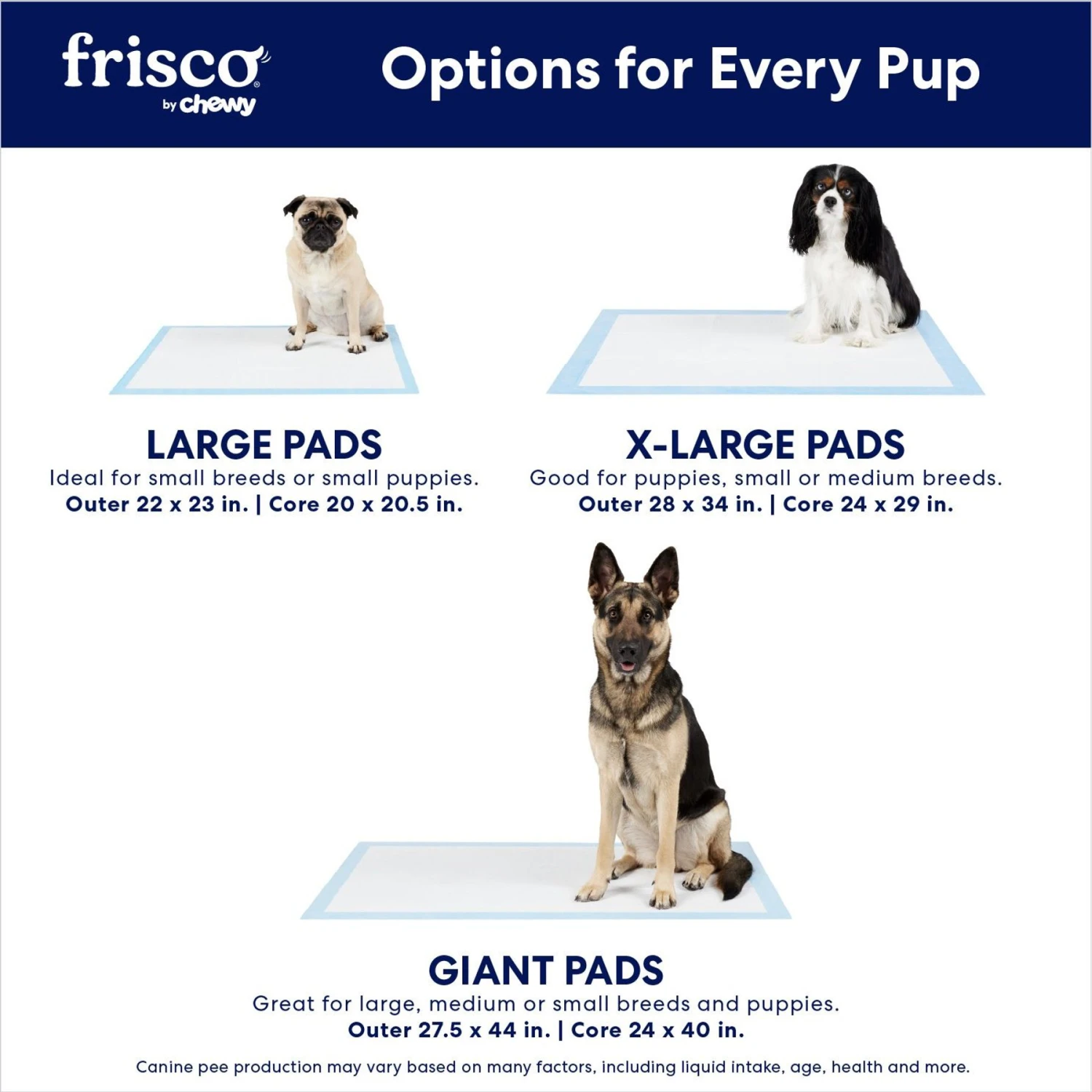 Frisco Extra Large Eco-Conscious Dog Training & Potty Pads 6 Frisco Extra Large Eco-Conscious Dog Training & Potty Pads - Image 4