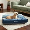 Frisco Personalized Navy Bolstered Bed With Navy Check Bolster 2 Frisco Personalized Navy Bolstered Bed With Navy Check Bolster -Frisco 311766 MAIN. AC SS1800 V1633102642