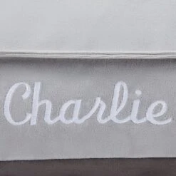 Frisco Personalized Silver Bolstered Bed With Silver Check Bolster, X-Large -Frisco 311772 PT3. AC SS1800 V1630594010