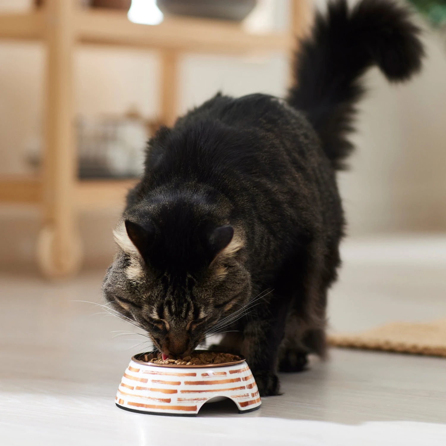 Frisco Copper Print Design Stainless Steel Dog & Cat Bowl 6 Frisco Copper Print Design Stainless Steel Dog & Cat Bowl - Image 4