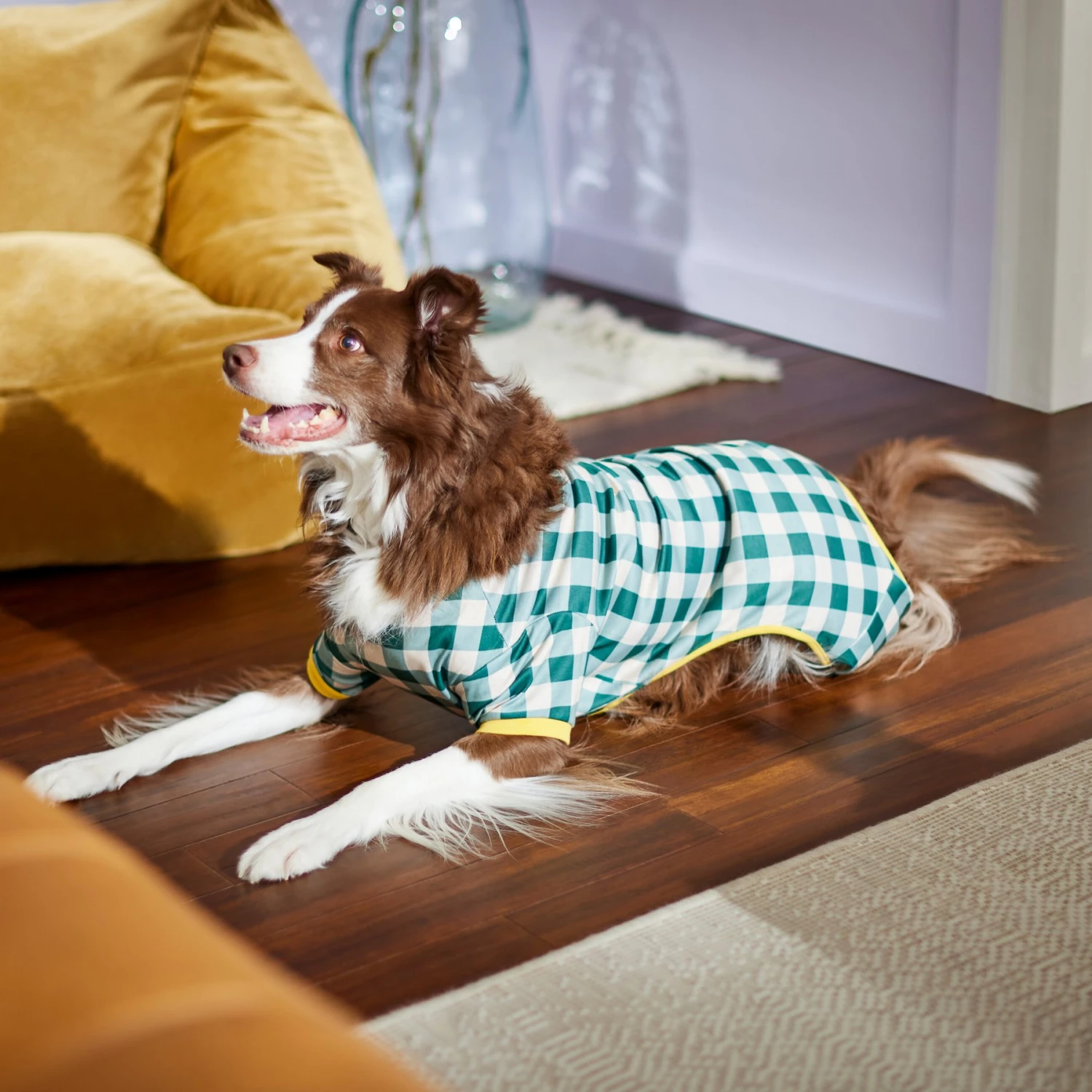 Frisco Boho Gingham Dog & Cat PJs 8 Frisco Boho Gingham Dog & Cat PJs - Image 6