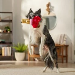 Frisco Valentine Ice Cream Plush Squeaky Dog Toy -Frisco 312895 PT3. AC SS1800 V1701364917