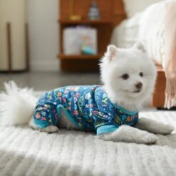 Frisco Celebration Dog & Cat PJs -Frisco 315105 PT8. AC SS1800 V1646437758