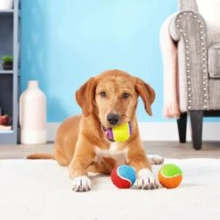 Frisco Fetch Squeaking Colorful Tennis Ball Dog Toy & Project Hive Pet Company Ball Dog Toy -Frisco 319024 PT3. AC SS1800 V1630550869
