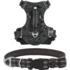 Frisco Outdoor Premium Ripstop Nylon Dog Harness With Pocket & Frisco Outdoor Nylon Reflective Comfort Padded Dog Collar