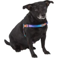 Frisco Purple Ombre Style Dog Harness -Frisco 324526 PT2. AC SS1800 V1642519692