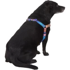 Frisco Purple Ombre Style Dog Harness -Frisco 324526 PT3. AC SS1800 V1642519104