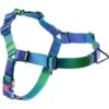 Frisco Green Ombre Style Dog Harness