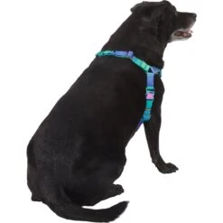 Frisco Green Ombre Style Dog Harness -Frisco 324531 PT3. AC SS1800 V1642518631