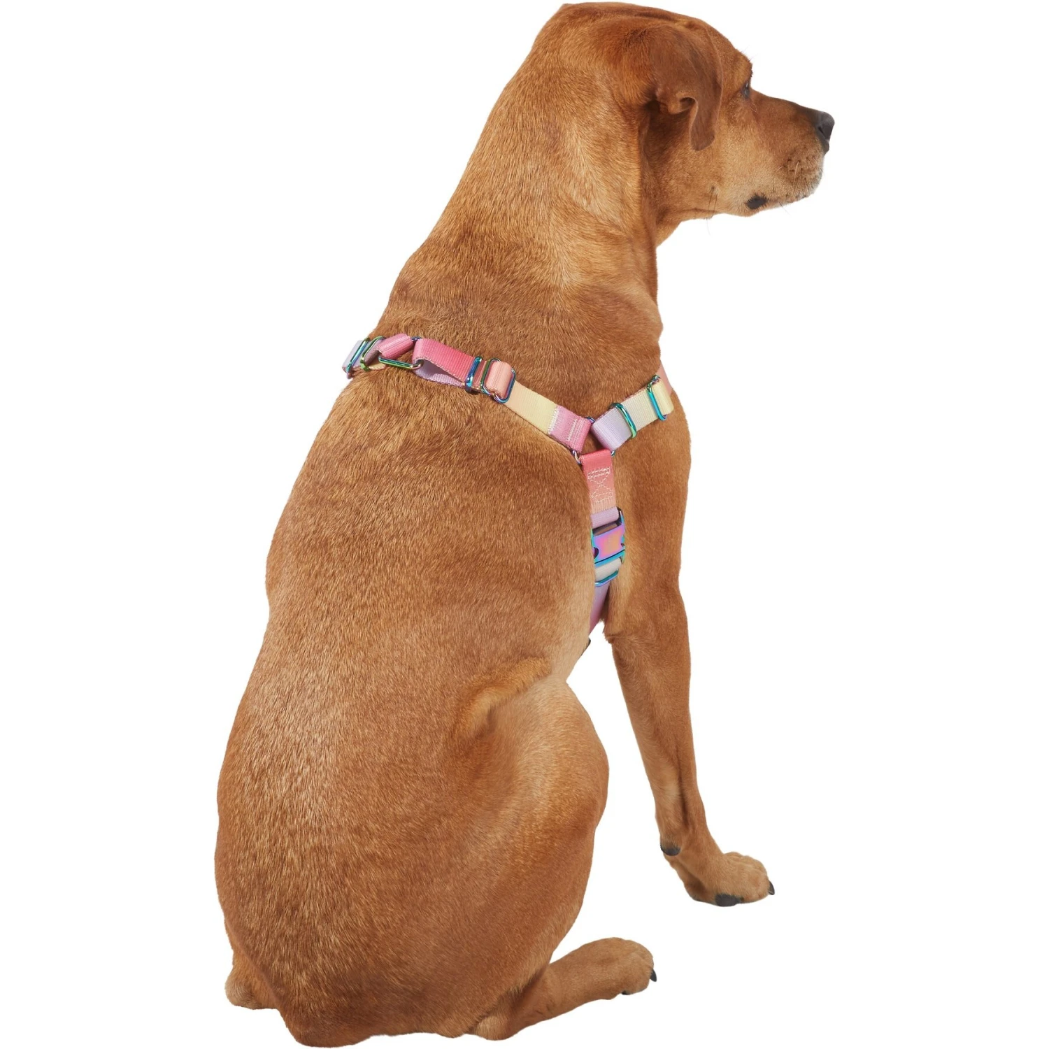 Frisco Pink Ombre Style Dog Harness 6 Frisco Pink Ombre Style Dog Harness - Image 4