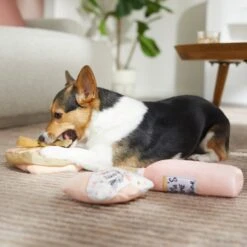 Frisco Mother's Day Gifts Plush Squeaky Dog Toy, 3 Count -Frisco 327035 PT3. AC SS1800 V1646947993