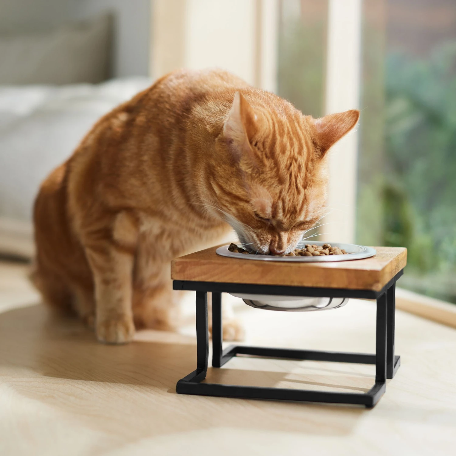 Frisco Premium Wood Elevated Single Dog & Cat Bowl 5 Frisco Premium Wood Elevated Single Dog & Cat Bowl - Image 4