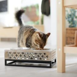 Frisco Premium Wood Elevated Stainless Steel Double Diner Dog & Cat Bowl, 3 Cup 10 Frisco Premium Wood Elevated Stainless Steel Double Diner Dog & Cat Bowl, 3 Cup -Frisco 331507 PT3. AC SS1800 V1657656894