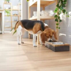 Frisco Premium Stainless Steel Double Diner Dog & Cat Bowl, Black -Frisco 331532 PT2. AC SS1800 V1657656874