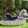 Frisco Outdoor Dog Swimming Pool, Hawaiian Print 1 Frisco Outdoor Dog Swimming Pool, Hawaiian Print -Frisco 331652 MAIN. AC SS1800 V1646179333