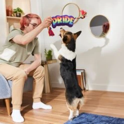 Frisco Pride Plush With Rope Squeaky Dog Toy 7 Frisco Pride Plush With Rope Squeaky Dog Toy -Frisco 331661 PT3. AC SS1800 V1647356002