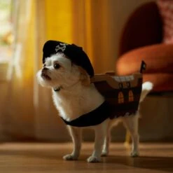 Frisco Pirate Ship Dog & Cat Costume -Frisco 335078 PT7. AC SS1800 V1657656881