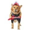 Frisco Front Walking Punk Rocker Dog & Cat Costume 2 Frisco Front Walking Punk Rocker Dog & Cat Costume -Frisco 335087 MAIN. AC SS1800 V1658349621