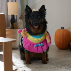 Frisco Front Walking Workout Girl Dog & Cat Costume 16 Frisco Front Walking Workout Girl Dog & Cat Costume -Frisco 335111 PT7. AC SS1800 V1657656881