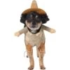 Frisco Front Walking Scarecrow Dog & Cat Costume -Frisco 335135 MAIN. AC SS1800 V1658349298