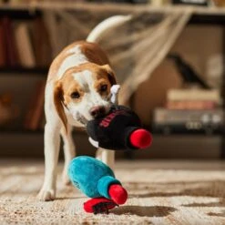 Frisco Halloween Elixirs Plush Squeaky Dog Toy 9 Frisco Halloween Elixirs Plush Squeaky Dog Toy -Frisco 344004 PT3. AC SS1800 V1689878498