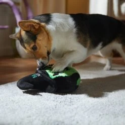 Frisco Halloween Bad Witch Round Plush Squeaky Dog Toy -Frisco 344006 PT3. AC SS1800 V1657657029