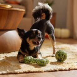 Frisco Halloween Glow In The Dark TPR Squeaky Bone & Ball Dog Toy 11 Frisco Halloween Glow In The Dark TPR Squeaky Bone & Ball Dog Toy -Frisco 344130 PT3. AC SS1800 V1657657042