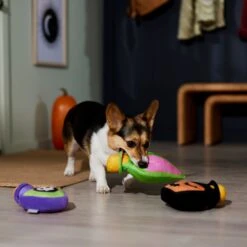 Frisco Halloween Potion Bottles Plush Squeaky Dog Toy 9 Frisco Halloween Potion Bottles Plush Squeaky Dog Toy -Frisco 344144 PT3. AC SS1800 V1657657048