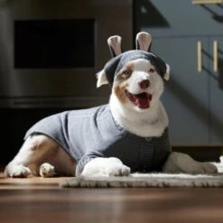 Frisco Bunny Hooded Dog & Cat Sweater 14 Frisco Bunny Hooded Dog & Cat Sweater -Frisco 353571 PT6. AC SS1800 V1660749538