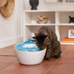 Frisco Ceramic Clouds Dog & Cat Fountain