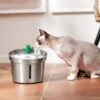 Frisco Stainless Steel Cactus & Leaf Dog & Cat Fountain 1 Frisco Stainless Steel Cactus & Leaf Dog & Cat Fountain -Frisco 355814 MAIN. AC SS1800 V1665684257