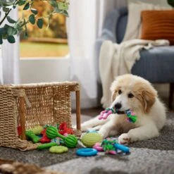 Frisco Small Breed Puppies Rope & TPR Variety Pack Puppy Toy -Frisco 358552 PT4. AC SS1800 V1669908588