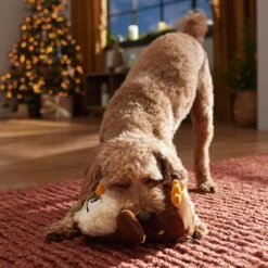 Frisco Holiday Festive Owl Plush Squeaky Dog Toy -Frisco 360919 PT3. AC SS1800 V1661874361